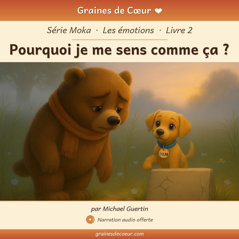 Couverture de Pourquoi je me sens comme ça ?