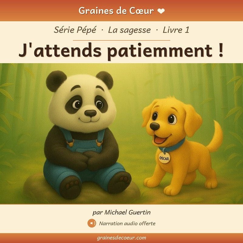 Couverture de J'attends patiemment !